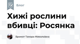 Хижі рослини вбивці: Росянка