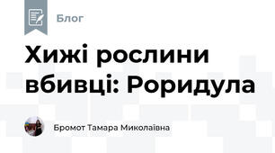 Хижі рослини вбивці: Роридула
