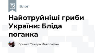 Найотруйніші гриби України: Бліда поганка