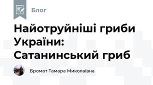 Найотруйніші гриби України: Сатанинський гриб
