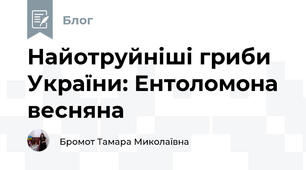 Найотруйніші гриби України: Ентоломона весняна