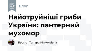 Найотруйніші гриби України: пантерний мухомор