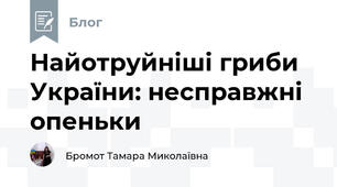 Найотруйніші гриби України: несправжні опеньки