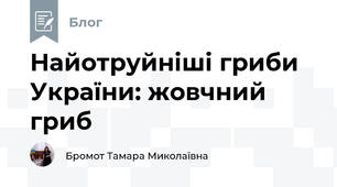 Найотруйніші гриби України: жовчний гриб