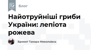 Найотруйніші гриби України: лепіота рожева