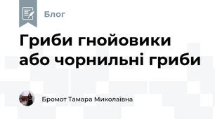 Гриби гнойовики або чорнильні гриби