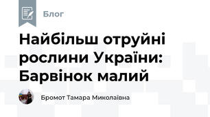 Найбільш отруйні рослини України: Барвінок малий 