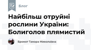 Найбільш отруйні рослини України: Болиголов плямистий 