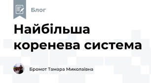 Найбільша коренева система