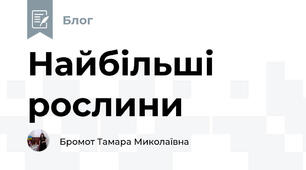 Найбільші рослини