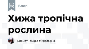 Хижа тропічна рослина