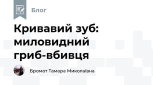 Кривавий зуб: миловидний гриб-вбивця