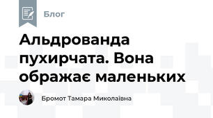 Альдрованда пухирчата. Вона ображає маленьких