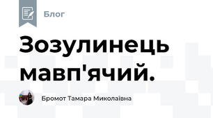 Зозулинець мавп'ячий.