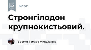 Стронгілодон крупнокистьовий.