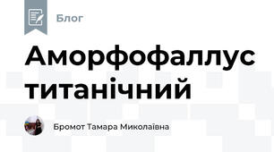 Аморфофаллус титанічний