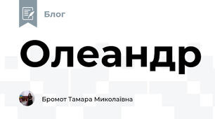 Олеандр 