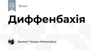 Диффенбахія 