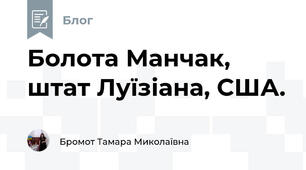 Болота Манчак, штат Луїзіана, США.
