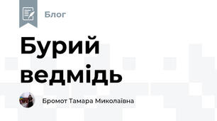Бурий ведмідь