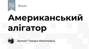 Американський алігатор