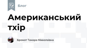 Американський тхір
