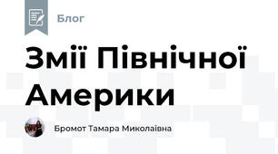 Змії Північної Америки