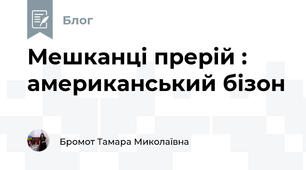 Мешканці прерій : американський бізон