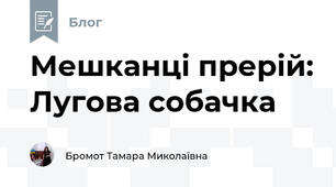 Мешканці прерій: Лугова собачка