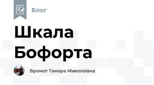 Шкала Бофорта 