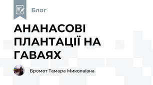 АНАНАСОВІ ПЛАНТАЦІЇ НА ГАВАЯХ