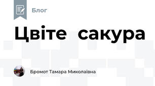 Цвіте  сакура