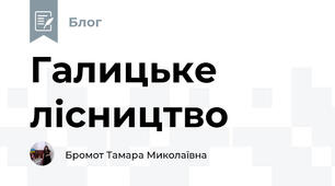 Галицьке лісництво