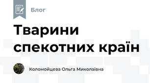 Тварини спекотних країн