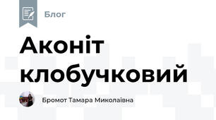 Аконіт клобучковий