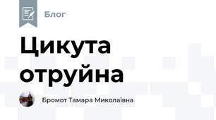 Цикута отруйна