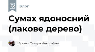 Сумах ядоносний (лакове дерево)