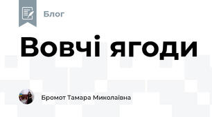 Вовчі ягоди 