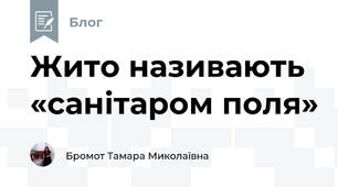 Жито називають «санітаром поля»