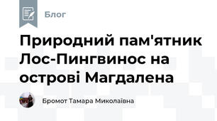 Природний пам'ятник Лос-Пингвинос на острові Магдалена