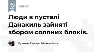Люди в пустелі Данакиль зайняті збором соляних блоків.