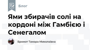 Ями збирачів солі на кордоні між Гамбією і Сенегалом