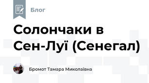 Солончаки в Сен-Луї (Сенегал) 