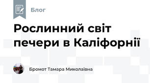 Рослинний світ печери в Каліфорнії 