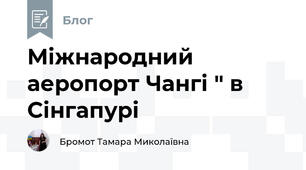 Міжнародний аеропорт Чангі " в Сінгапурі 