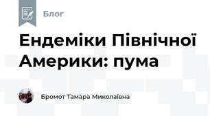 Ендеміки Північної Америки: пума