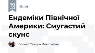 Ендеміки Північної Америки: Смугастий скунс