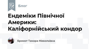 Ендеміки Північної Америки: Каліфорнійський кондор