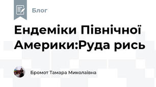Ендеміки Північної Америки:Руда рись 