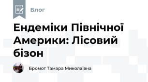 Ендеміки Північної Америки: Лісовий бізон
